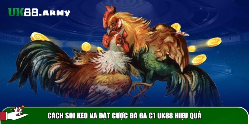cach soi keo dat cuoc da ga c1 Việc soi kèo đá gà kỹ lưỡng trước trận đấu giúp tăng khả năng dự đoán chính xác