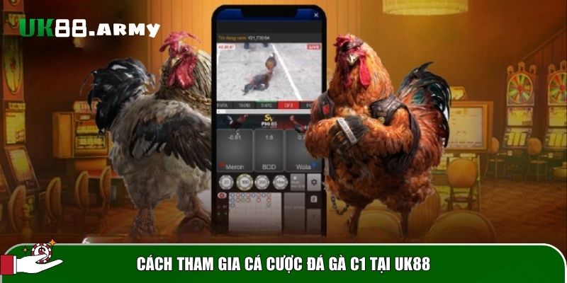 cach tham gia ca cuoc da ga c1 Cách tham gia cá cược đá gà C1 tại UK88