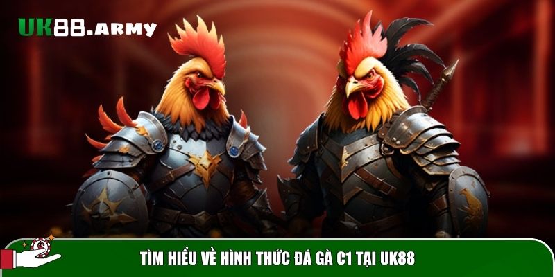 tim hieu ve da ga c1 Tìm hiểu về đá gà C1 và lý do tại sao nó trở thành lựa chọn hàng đầu